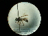  ( - CCDB-09753-B06)  @11 [ ] Copyright  G. Blagoev 2010 Unspecified