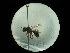  ( - CCDB-09753-B07)  @11 [ ] Copyright  G. Blagoev 2010 Unspecified