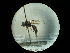  ( - CCDB-09753-B08)  @11 [ ] Copyright  G. Blagoev 2010 Unspecified