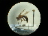  ( - CCDB-09753-C04)  @11 [ ] Copyright  G. Blagoev 2010 Unspecified