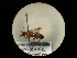  ( - CCDB-09753-E05)  @11 [ ] Copyright  G. Blagoev 2010 Unspecified