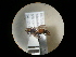  ( - CCDB-09753-F12)  @11 [ ] Copyright  G. Blagoev 2010 Unspecified