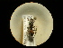  ( - CCDB-09755-G01)  @11 [ ] Copyright  G. Blagoev 2010 Unspecified