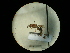  ( - CCDB-09755-H08)  @11 [ ] Copyright  G. Blagoev 2010 Unspecified