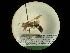  ( - CCDB-09755-H09)  @11 [ ] Copyright  G. Blagoev 2010 Unspecified