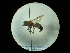  ( - CCDB-09783-B03)  @11 [ ] Copyright  G. Blagoev 2010 Unspecified