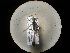  ( - CCDB-09784-F04)  @12 [ ] Copyright  G. Blagoev 2010 Unspecified