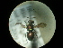  ( - CCDB-09785-D10)  @13 [ ] Copyright  G. Blagoev 2010 Unspecified