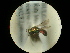 ( - CCDB-09785-D12)  @13 [ ] Copyright  G. Blagoev 2010 Unspecified