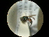  ( - CCDB-09785-E03)  @13 [ ] Copyright  G. Blagoev 2010 Unspecified