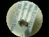  ( - CCDB-09785-F04)  @11 [ ] Copyright  G. Blagoev 2010 Unspecified