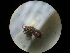  ( - CCDB-09785-F05)  @12 [ ] Copyright  G. Blagoev 2010 Unspecified
