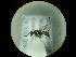  ( - CCDB-09785-F06)  @12 [ ] Copyright  G. Blagoev 2010 Unspecified