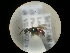  ( - CCDB-09785-F07)  @12 [ ] Copyright  G. Blagoev 2010 Unspecified