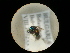  ( - CCDB-09786-C05)  @11 [ ] Copyright  G. Blagoev 2010 Unspecified