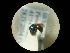  ( - CCDB-09786-C06)  @11 [ ] Copyright  G. Blagoev 2010 Unspecified