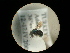  ( - CCDB-09786-C07)  @11 [ ] Copyright  G. Blagoev 2010 Unspecified