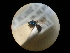 ( - CCDB-09786-C08)  @11 [ ] Copyright  G. Blagoev 2010 Unspecified