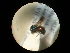  ( - CCDB-09786-C09)  @11 [ ] Copyright  G. Blagoev 2010 Unspecified