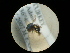  ( - CCDB-09786-C10)  @11 [ ] Copyright  G. Blagoev 2010 Unspecified