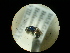  ( - CCDB-09786-C12)  @11 [ ] Copyright  G. Blagoev 2010 Unspecified