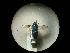  ( - CCDB-09786-D07)  @12 [ ] Copyright  G. Blagoev 2010 Unspecified
