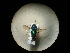  ( - CCDB-09786-D08)  @12 [ ] Copyright  G. Blagoev 2010 Unspecified