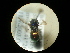 ( - CCDB-09786-E01)  @11 [ ] Copyright  G. Blagoev 2010 Unspecified