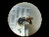  ( - CCDB-09786-E02)  @11 [ ] Copyright  G. Blagoev 2010 Unspecified