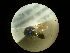  ( - CCDB-09786-E03)  @11 [ ] Copyright  G. Blagoev 2010 Unspecified