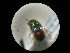  (Holopyga ignicollis - CCDB-09786-F02)  @13 [ ] Copyright  G. Blagoev 2010 Unspecified