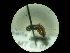  ( - CCDB-09786-G11)  @13 [ ] Copyright  G. Blagoev 2010 Unspecified