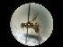  ( - CCDB-09786-H04)  @11 [ ] Copyright  G. Blagoev 2010 Unspecified