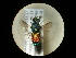  ( - CCDB-09786-H11)  @13 [ ] Copyright  G. Blagoev 2010 Unspecified