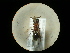  ( - CCDB-09787-A09)  @11 [ ] Copyright  G. Blagoev 2010 Unspecified