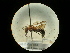  ( - CCDB-09787-A10)  @11 [ ] Copyright  G. Blagoev 2010 Unspecified