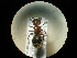  ( - CCDB-09787-B01)  @11 [ ] Copyright  G. Blagoev 2010 Unspecified