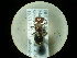  ( - CCDB-09787-B04)  @11 [ ] Copyright  G. Blagoev 2010 Unspecified