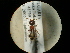  ( - CCDB-09787-C06)  @13 [ ] Copyright  G. Blagoev 2010 Unspecified