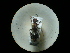  ( - CCDB-09787-H07)  @11 [ ] Copyright  G. Blagoev 2010 Unspecified