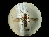  ( - CCDB-09787-H08)  @11 [ ] Copyright  G. Blagoev 2010 Unspecified
