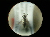  ( - CCDB-09788-A02)  @11 [ ] Copyright  G. Blagoev 2010 Unspecified