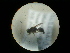  ( - CCDB-09788-A03)  @12 [ ] Copyright  G. Blagoev 2010 Unspecified