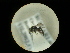  ( - CCDB-09788-A04)  @11 [ ] Copyright  G. Blagoev 2010 Unspecified