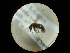  ( - CCDB-09788-A05)  @11 [ ] Copyright  G. Blagoev 2010 Unspecified