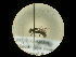  ( - CCDB-09788-A06)  @11 [ ] Copyright  G. Blagoev 2010 Unspecified