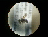 ( - CCDB-09788-A09)  @11 [ ] Copyright  G. Blagoev 2010 Unspecified