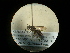  ( - CCDB-09788-B01)  @12 [ ] Copyright  G. Blagoev 2010 Unspecified
