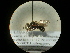 ( - CCDB-09788-E10)  @12 [ ] Copyright  G. Blagoev 2010 Unspecified