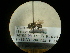  ( - CCDB-09788-F12)  @11 [ ] Copyright  G. Blagoev 2010 Unspecified